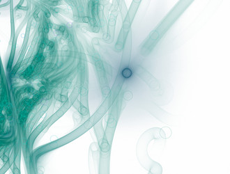 Similar image 22019821