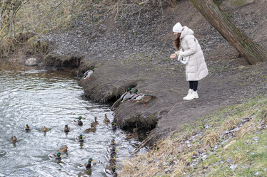 Similar image 21998441