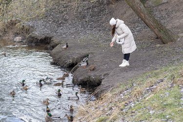 Similar image 21998442