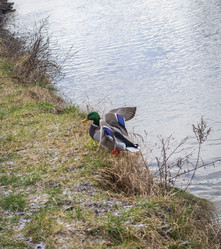 Similar image 21998445