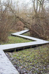 Similar image 21998452