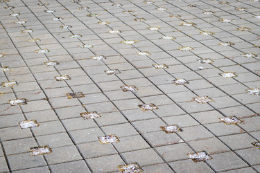 Similar image 21998454