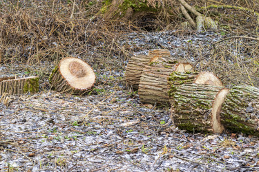 Similar image 21998457