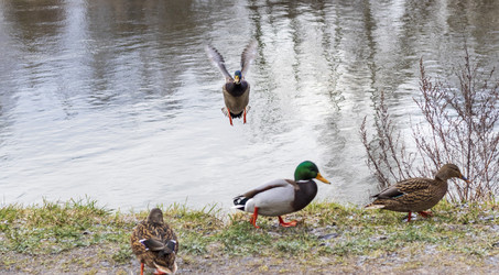 Similar image 21998458