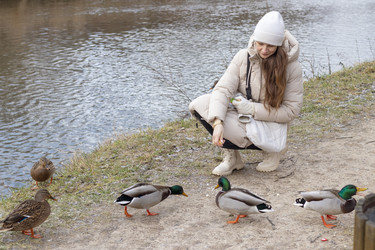 Similar image 21998459