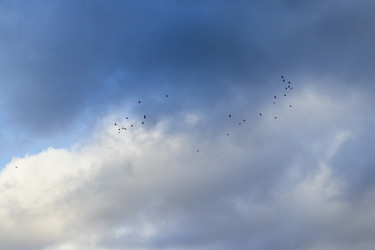 Similar image 21998460