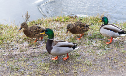 Similar image 21998461