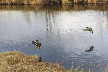 Similar image 21998462