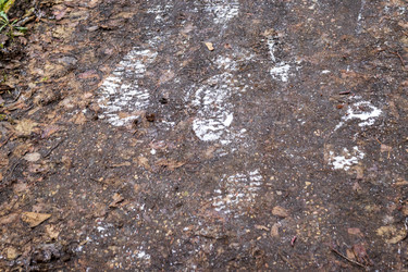 Similar image 21998465