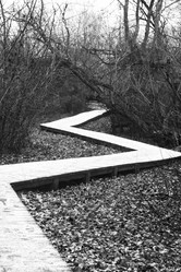 Similar image 21998468