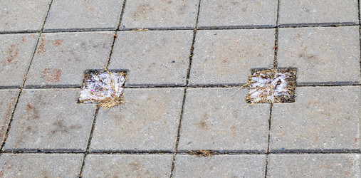 Similar image 21998472