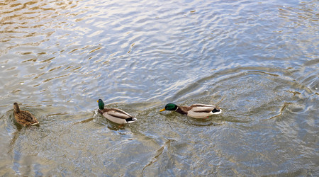 Similar image 21998485