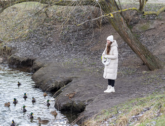 Similar image 21998486