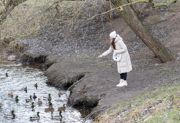 Similar image 21998487