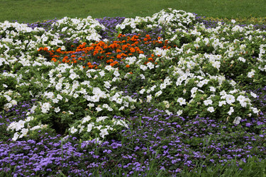 Similar image 21998142