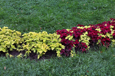 Similar image 21998144