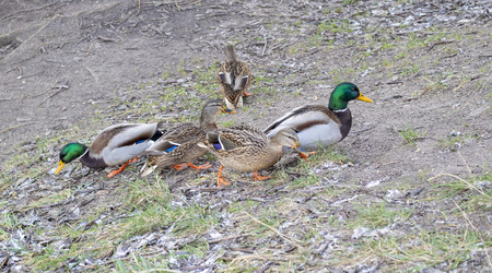 Similar image 21998514