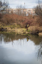 Similar image 21998515