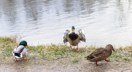 Similar image 21998516