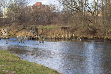 Similar image 21998520