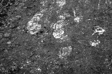 Similar image 21998522