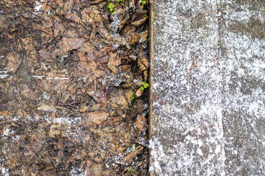 Similar image 21998524