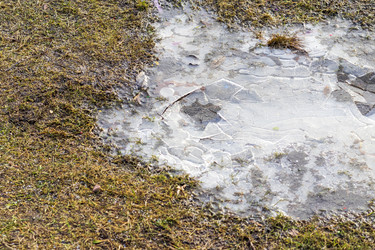 Similar image 21998526