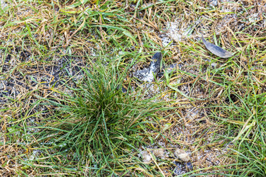 Similar image 21998528