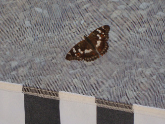 Similar image 22006511