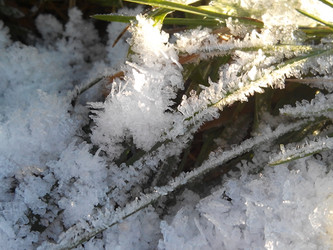 Similar image 22006512