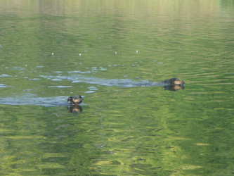 Similar image 21998529