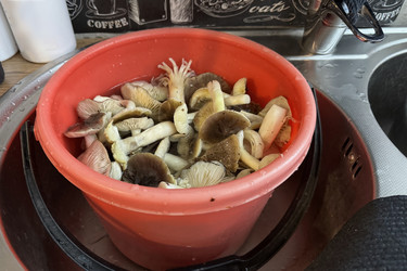 Similar image 21998530