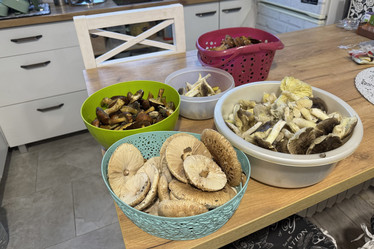 Similar image 21998531