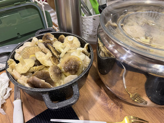 Similar image 21998532