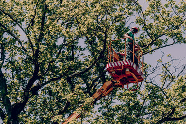 Similar image 21998201