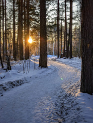 Similar image 21998539