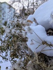 Similar image 21998540