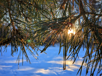 Similar image 21998542