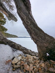 Similar image 21998543