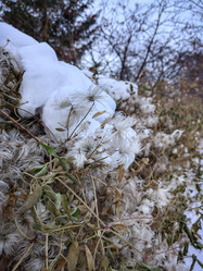 Similar image 21998544