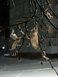 Similar image 21998547