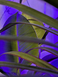 Similar image 21998551