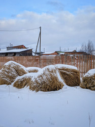 Similar image 21998552