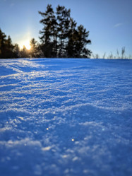 Similar image 21998554