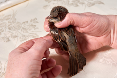 Similar image 22002058