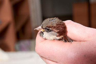 Similar image 22002059