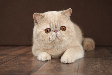 Similar image 22002062