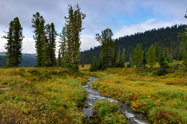 Similar image 21998561