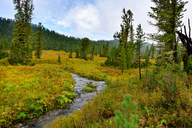 Similar image 21998562