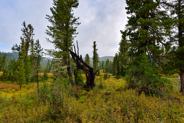 Similar image 21998563